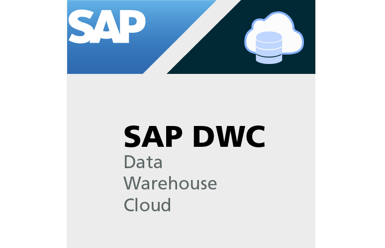 Making the Choice: SAP Data Warehouse Cloud or BW/4HANA?