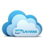 Mastering SAP Financial Reports: A Practical Guide